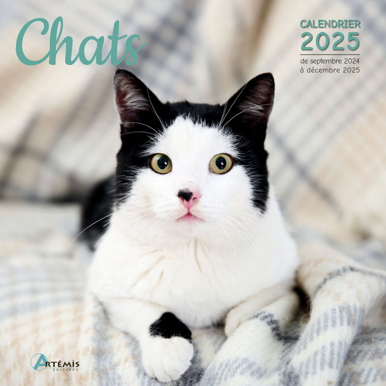 Calendrier Chats 2025 -  Collectif - ARTEMIS