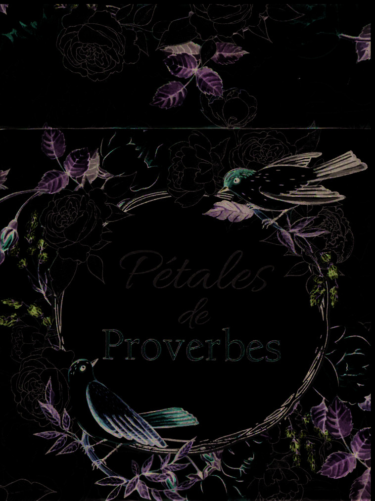 Pétales de Proverbes - XXX - BIBLI O