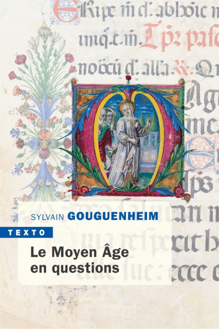 Le moyen âge en questions - Sylvain Gouguenheim - TALLANDIER