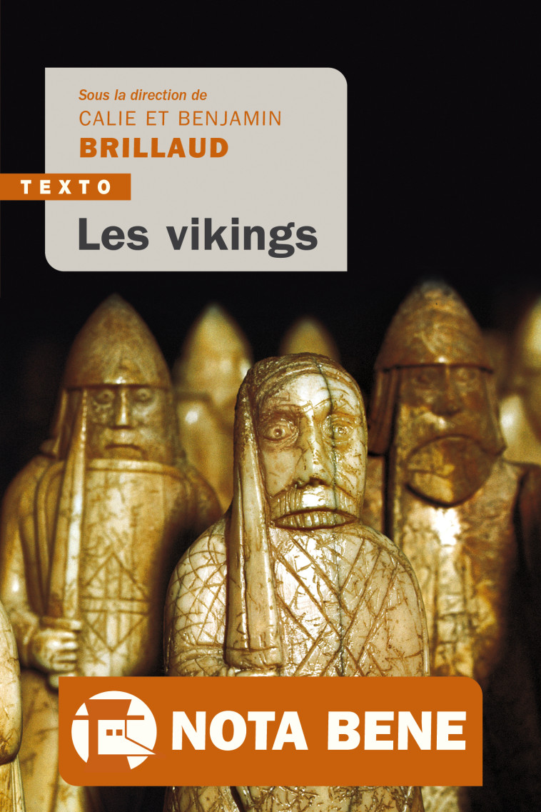 Les vikings - Calie Brillaud - TALLANDIER