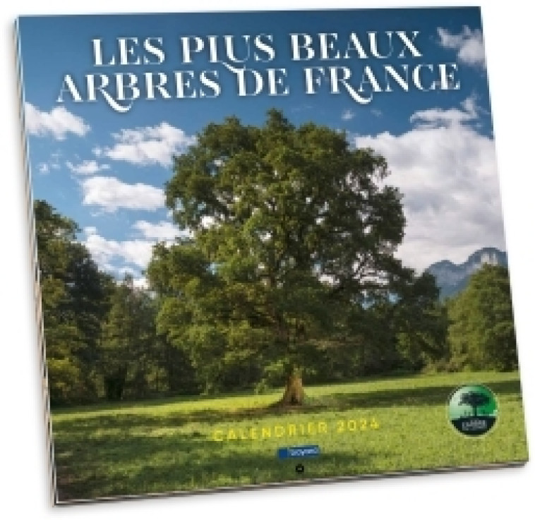 Calendrier des plus beaux arbres de France 2024 -   - BAYARD PRESSE