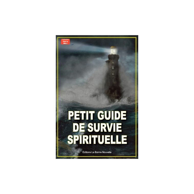 Petit guide de survie spirituelle - Thierry Fourchaud - BONNENOUVELLE